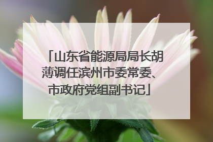 山东省能源局局长胡薄调任滨州市委常委、市政府党组副书记